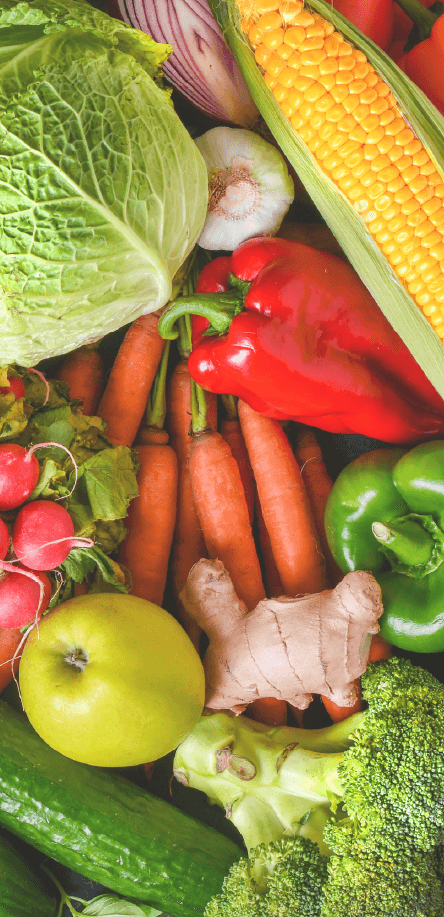 right Page Takeover Ad