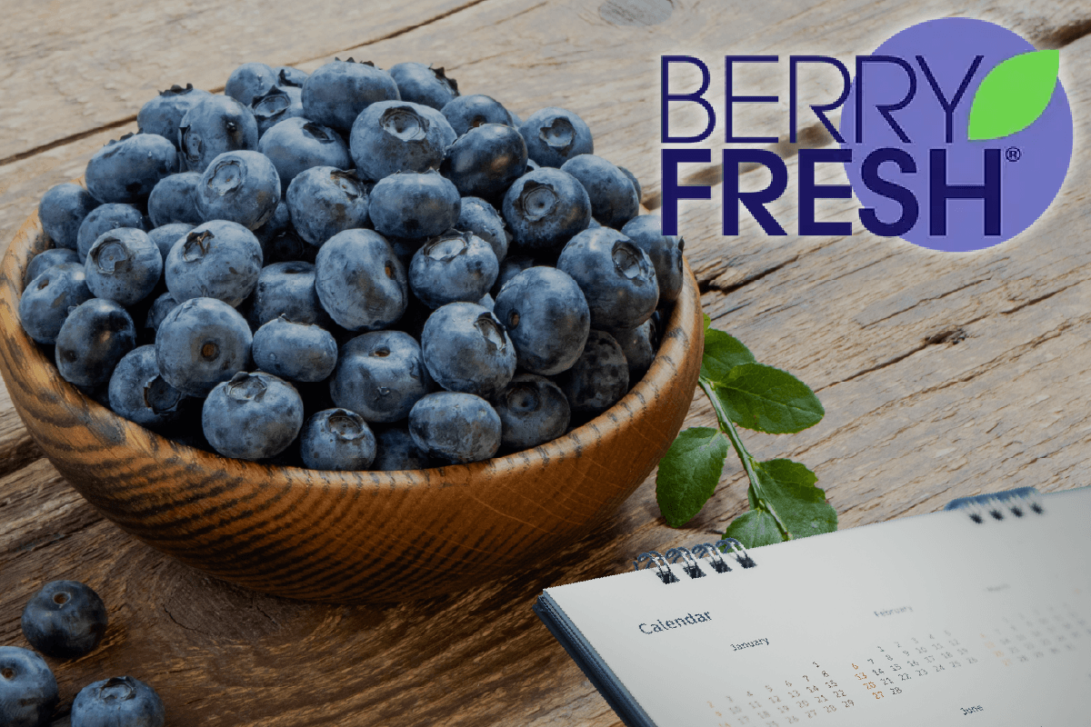 Berry Fresh Blueberry News