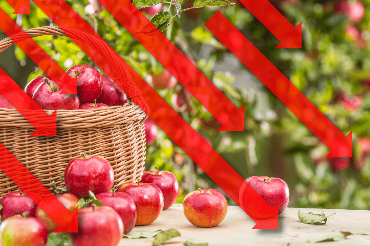 U.S. Fresh Apple Inventories Enter August Down from Last Year