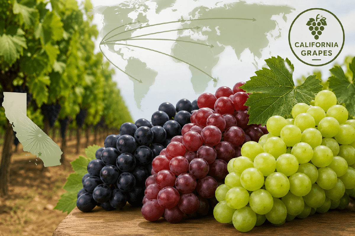 CA Grapes distributing to Global Markets