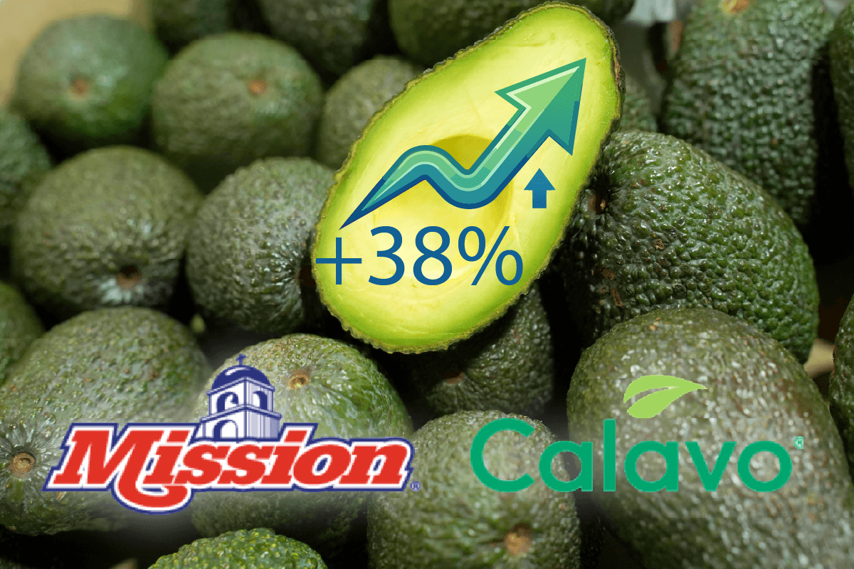 Mission Produce Avocado Volume Jumps 38% as Calavo Integration Gains Traction