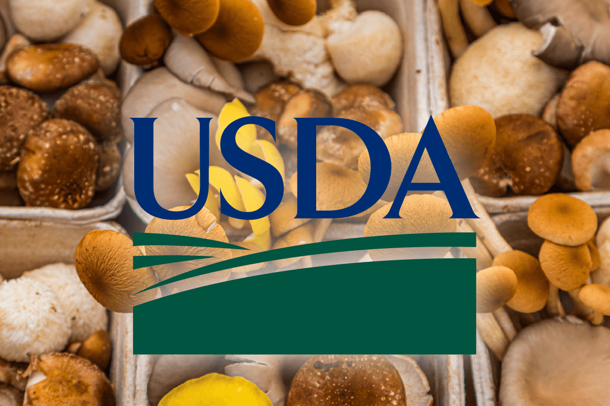 USDA Updates Federal Mushroom Grade Standards