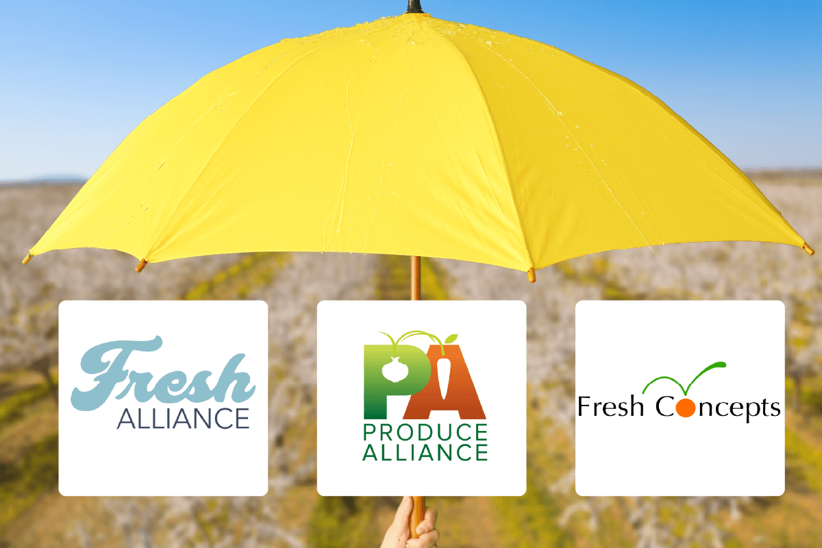 Buyers Edge Umbrella Brands