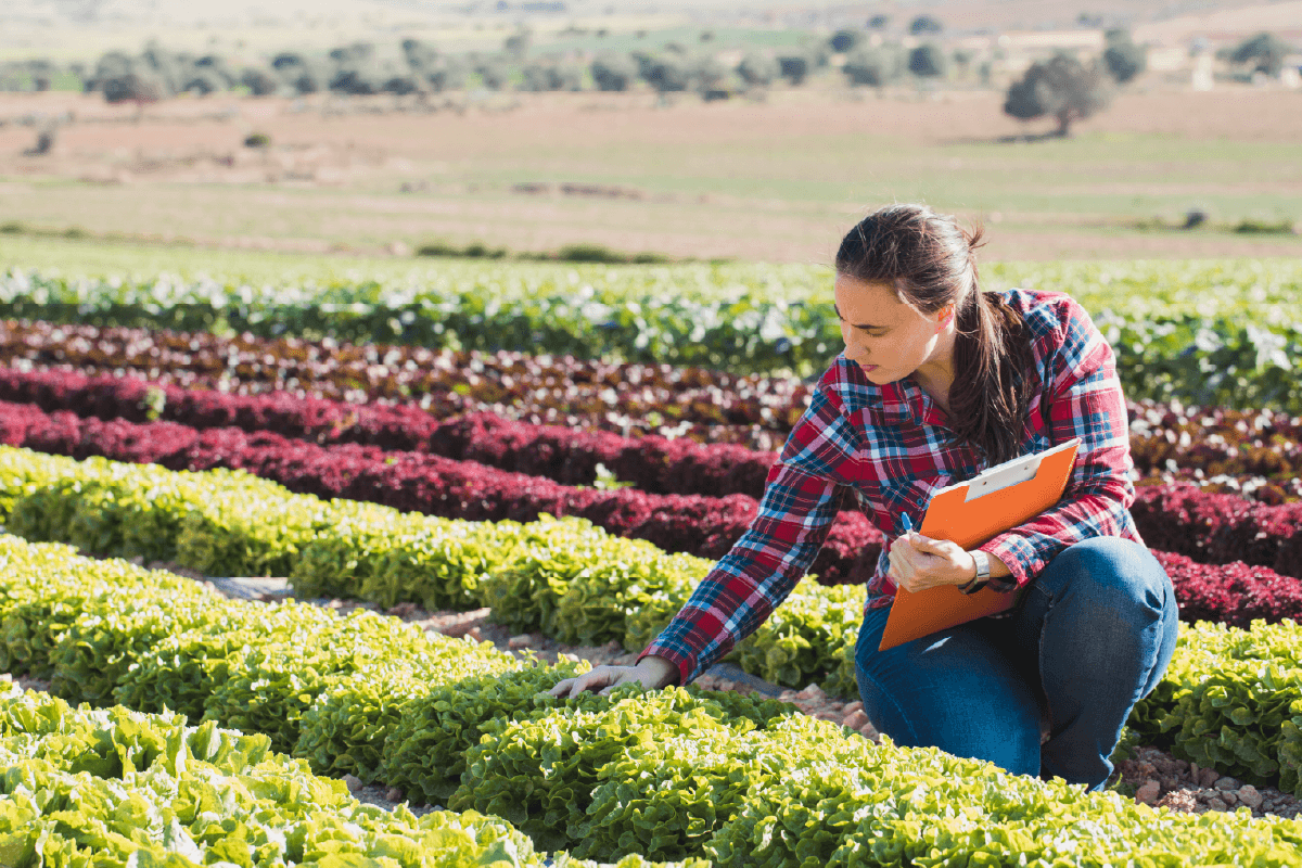California Specialty Crops Receive $28.9 Million for Research, Marketing and Technology