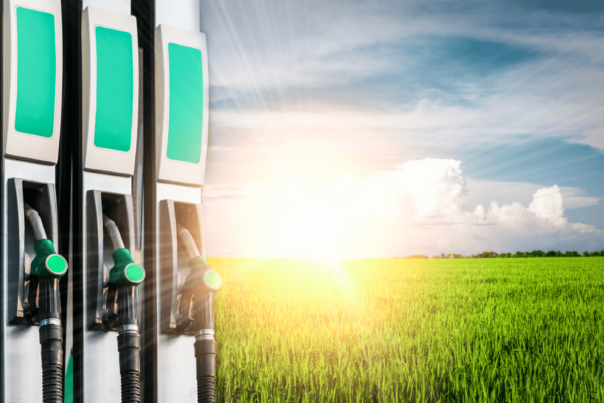 Diesel Costs Push California Farmers to Cut Field Work