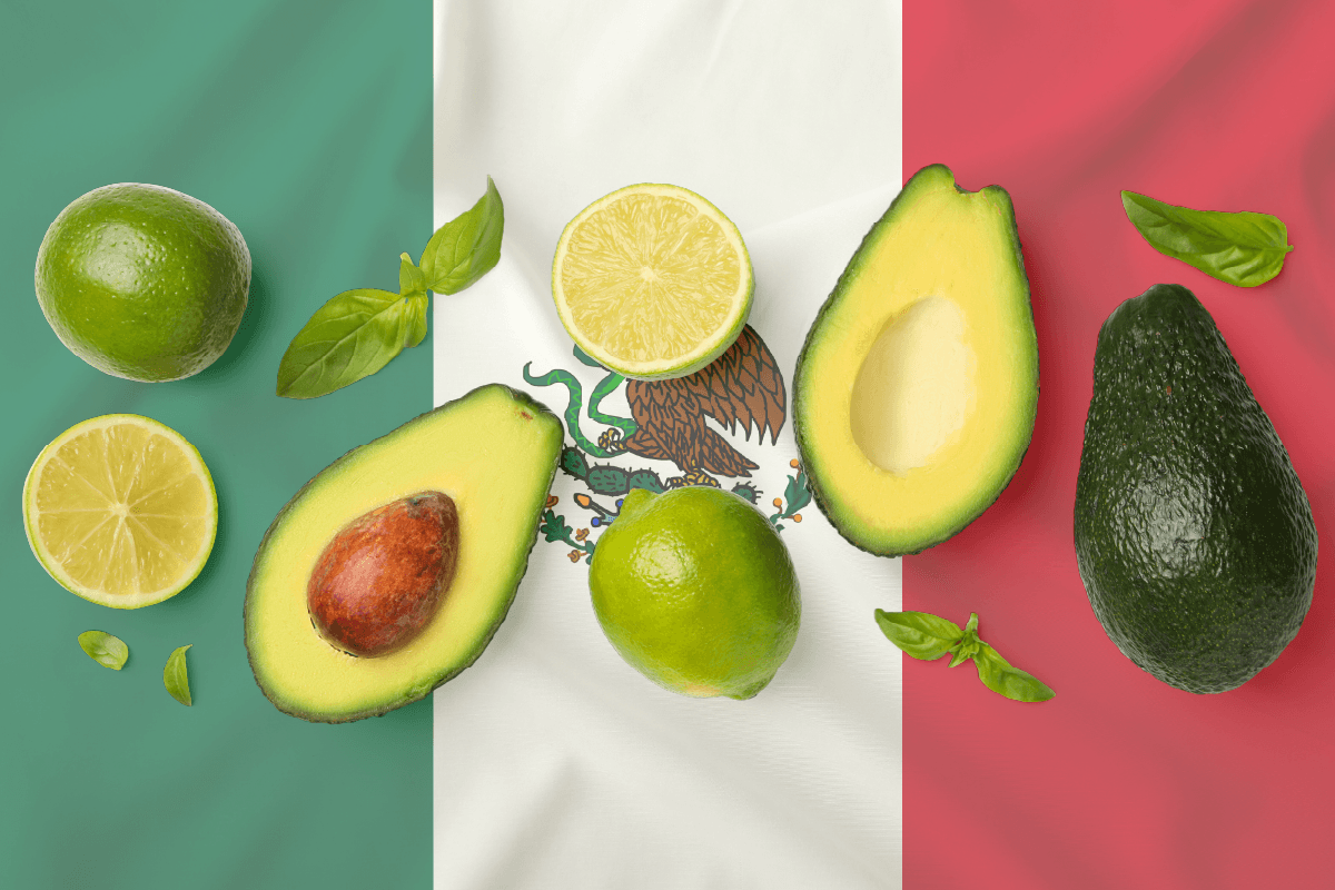 Mexican Avocado Trade Generates $7.1 Billion Across U.S. Economy