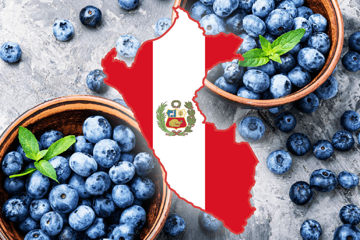 Peru Blueberries